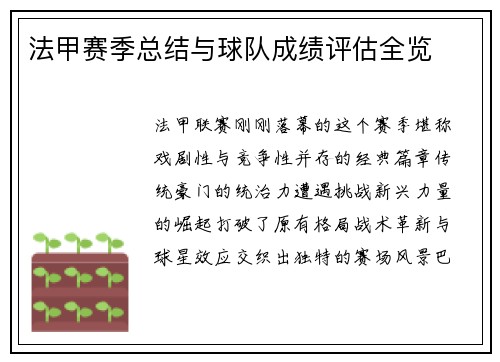 法甲赛季总结与球队成绩评估全览
