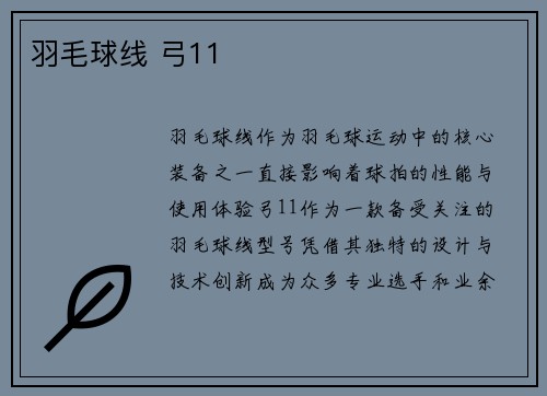 羽毛球线 弓11